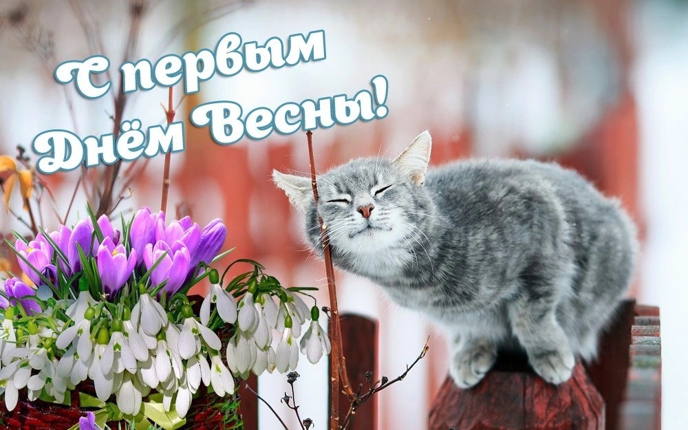 С 1 марта!